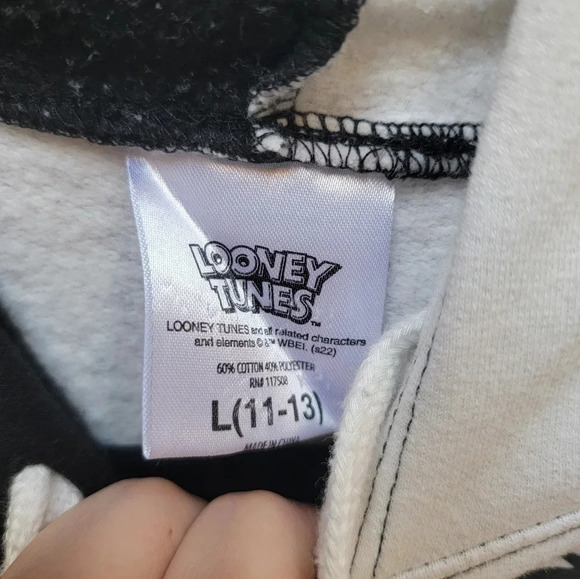 Looney Tunes Graphic Sylvester & Tweety Hoodie Sweatshirt Size Large (11/13) - Picture 3 of 3